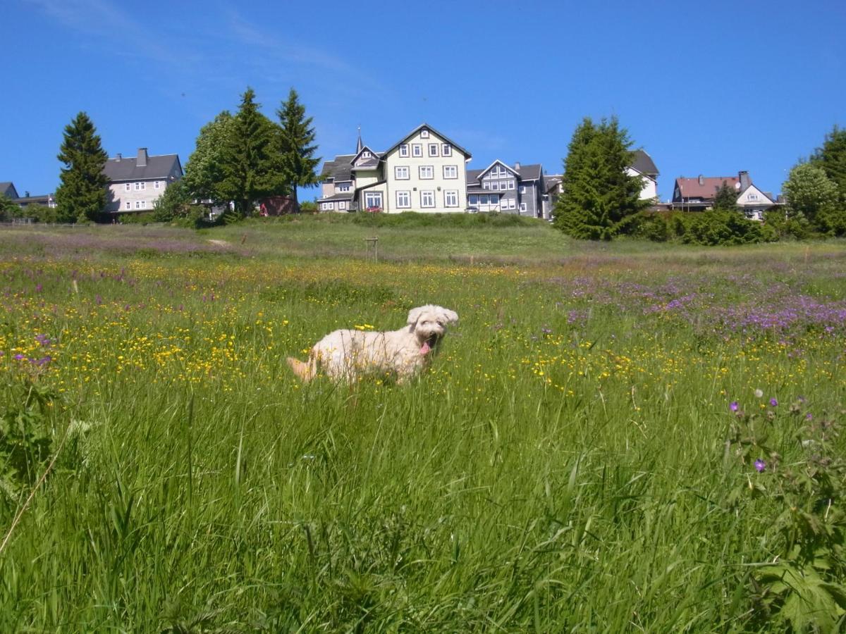 Hotel Schoene Aussicht Masserberg Buitenkant foto