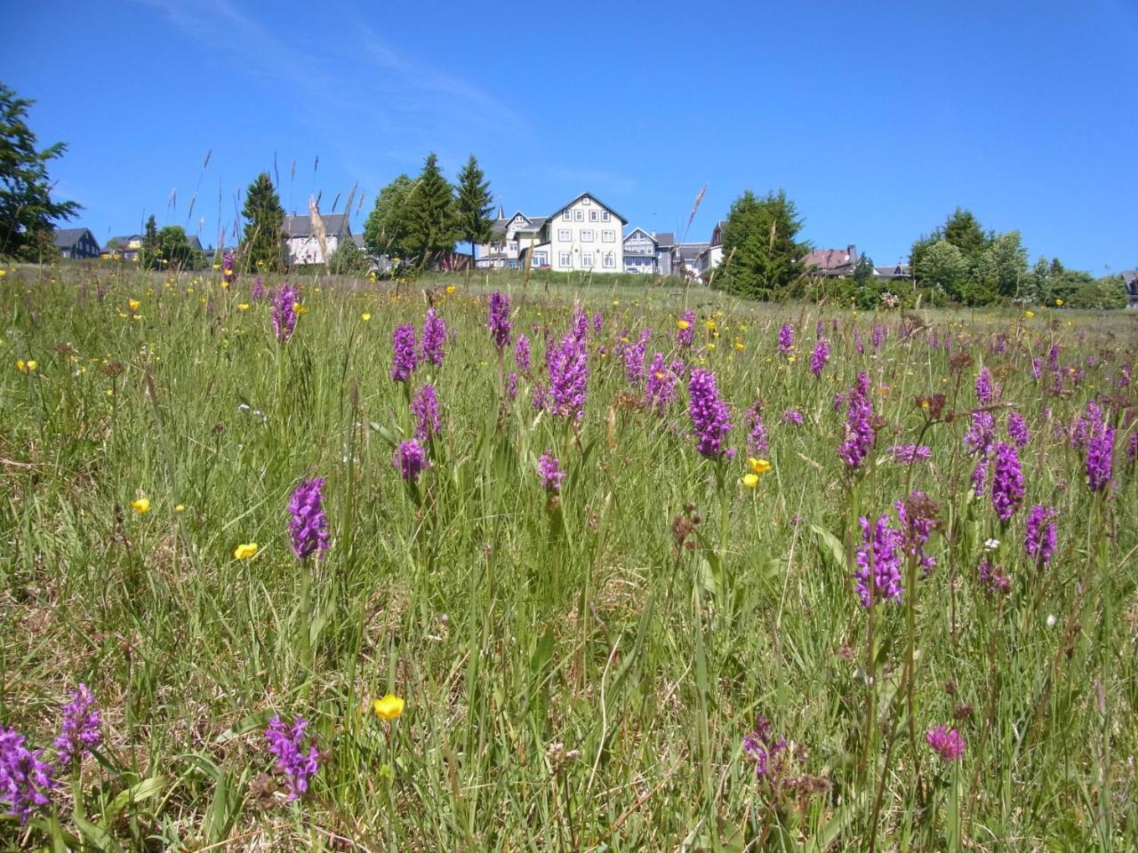 Hotel Schoene Aussicht Masserberg Buitenkant foto
